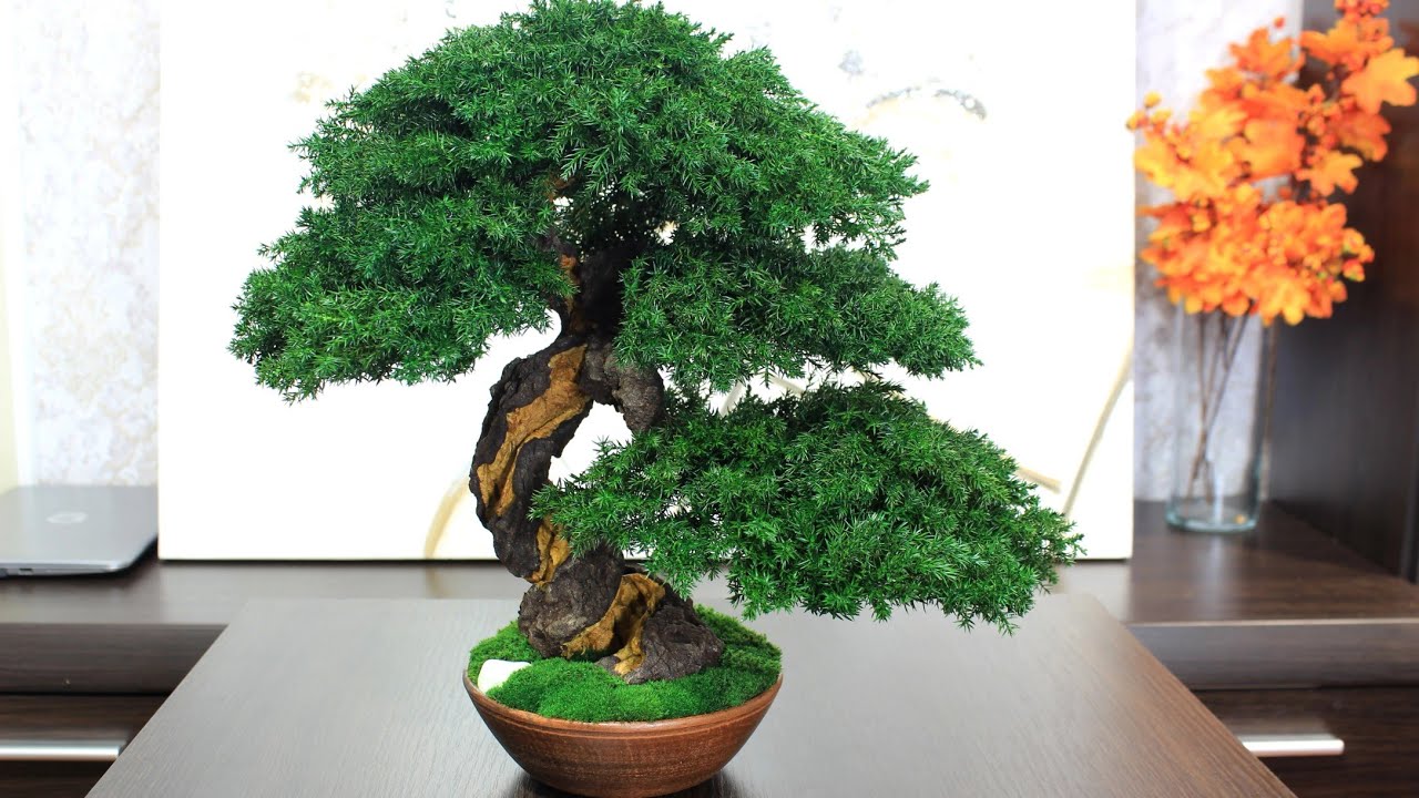 New preserved Bonsai Tree - simply the best decor for your interior! Tall 15,35