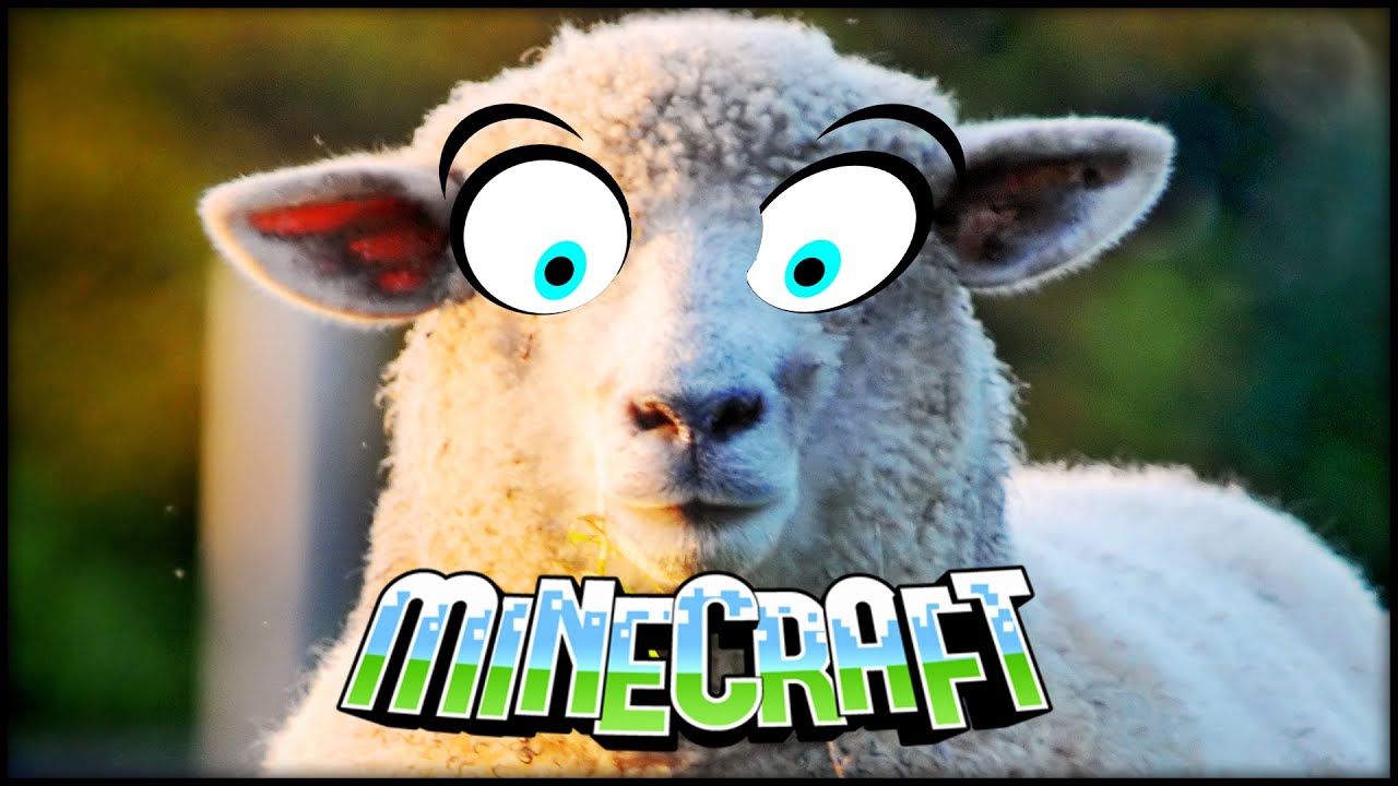 Minecraft - Sheep is not a Centaur! - Build Battle