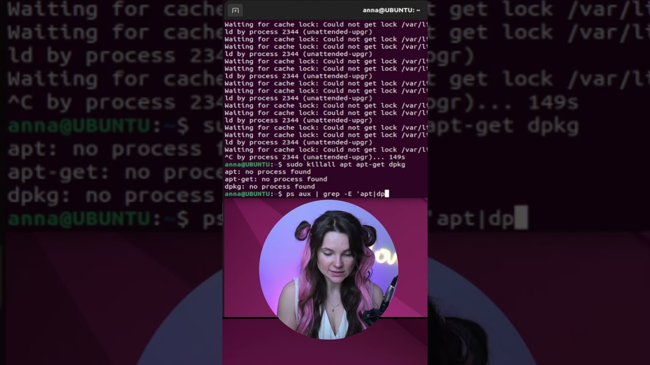 Learn Linux: sudo apt update doesn't work use kill command