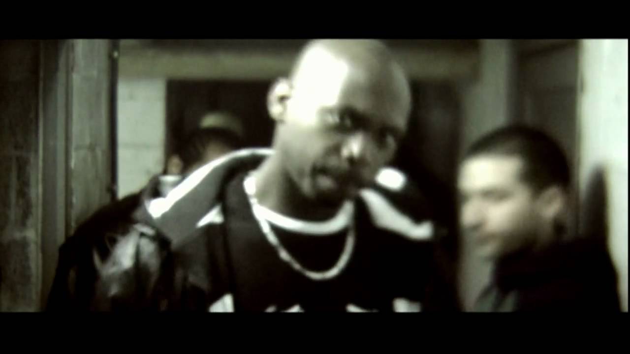 STELIO - Le Choix d'une Vie