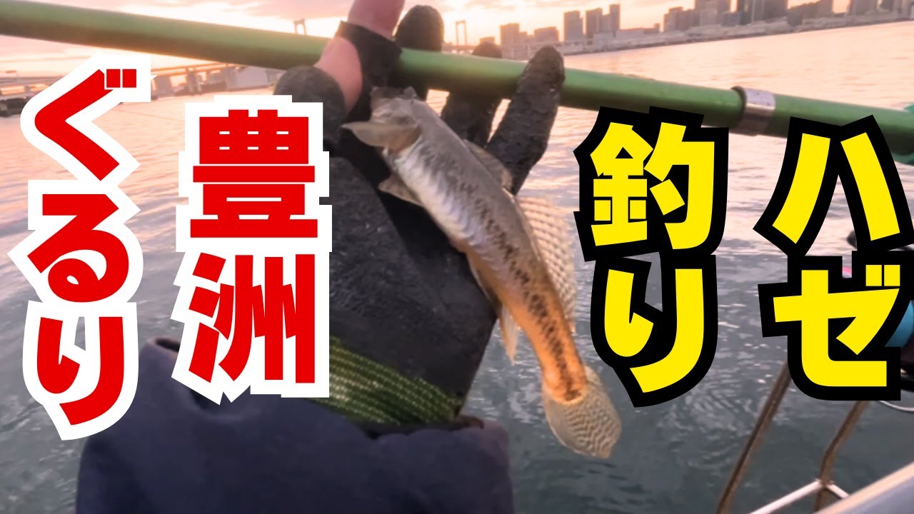 豊洲ぐるり公園ハゼ釣り～嬉しいゲストも登場～
