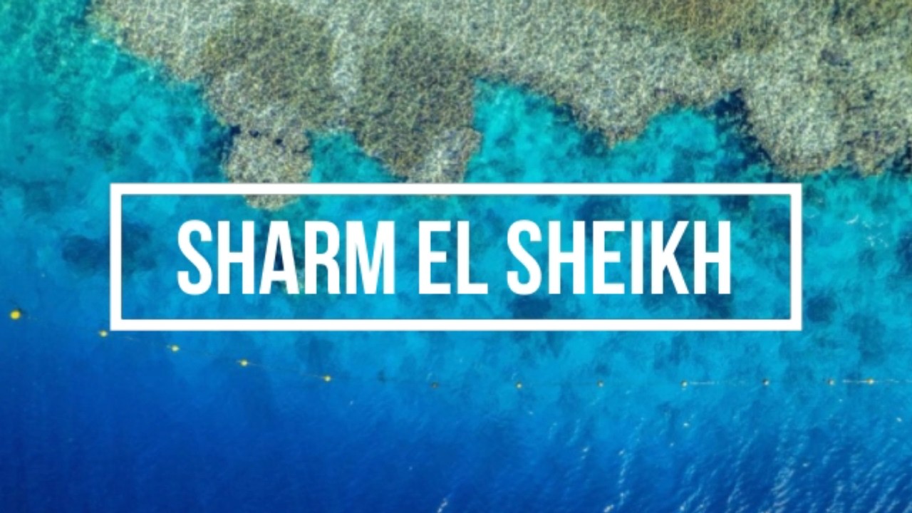 Top 5 Budget Friendly 4 Star Hotels in Sharm El Sheikh 🇪🇬  Best Red Sea Resorts 2026