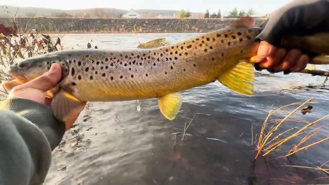 MARCH Trout Fishing On The Lehigh River With Jerk Bait 