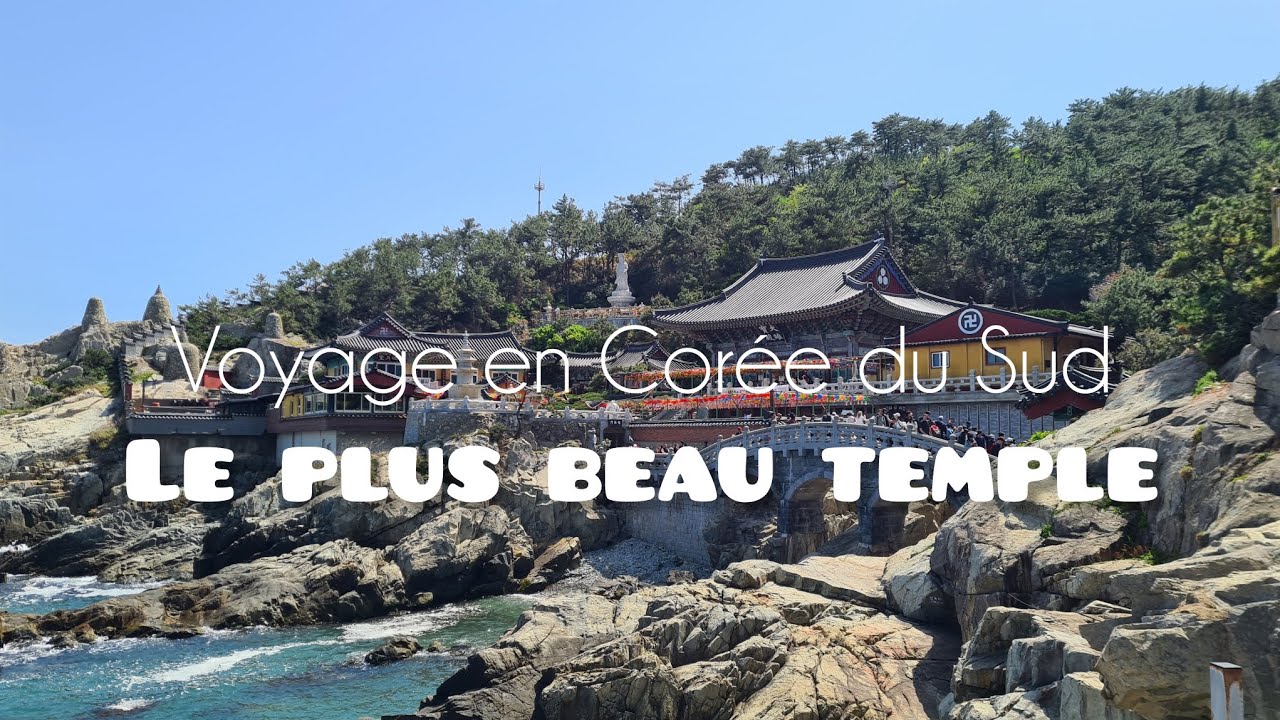 #21 Découverte de Busan - voyage en famille | Eliotmybike