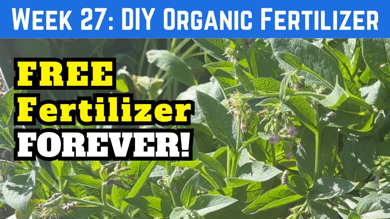 Make Your Own Never-Ending Organic Fertilizer!