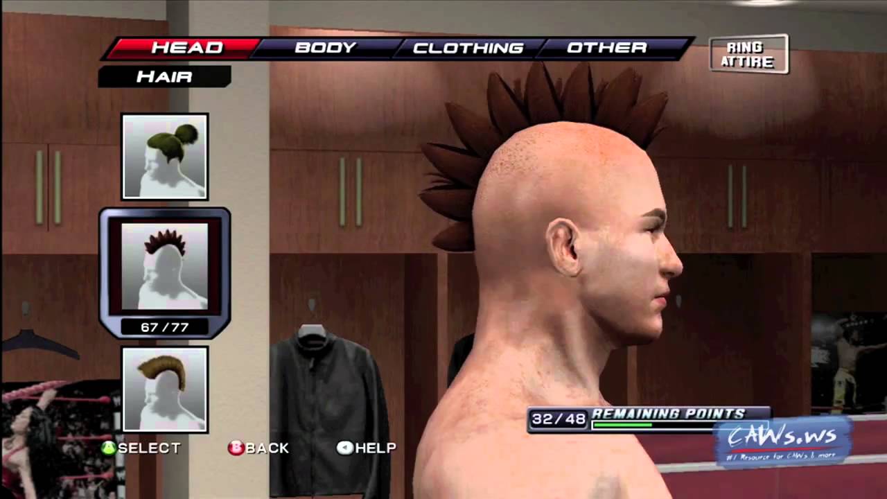 WWE Smackdown vs RAW 2011 Create a Superstar Hair