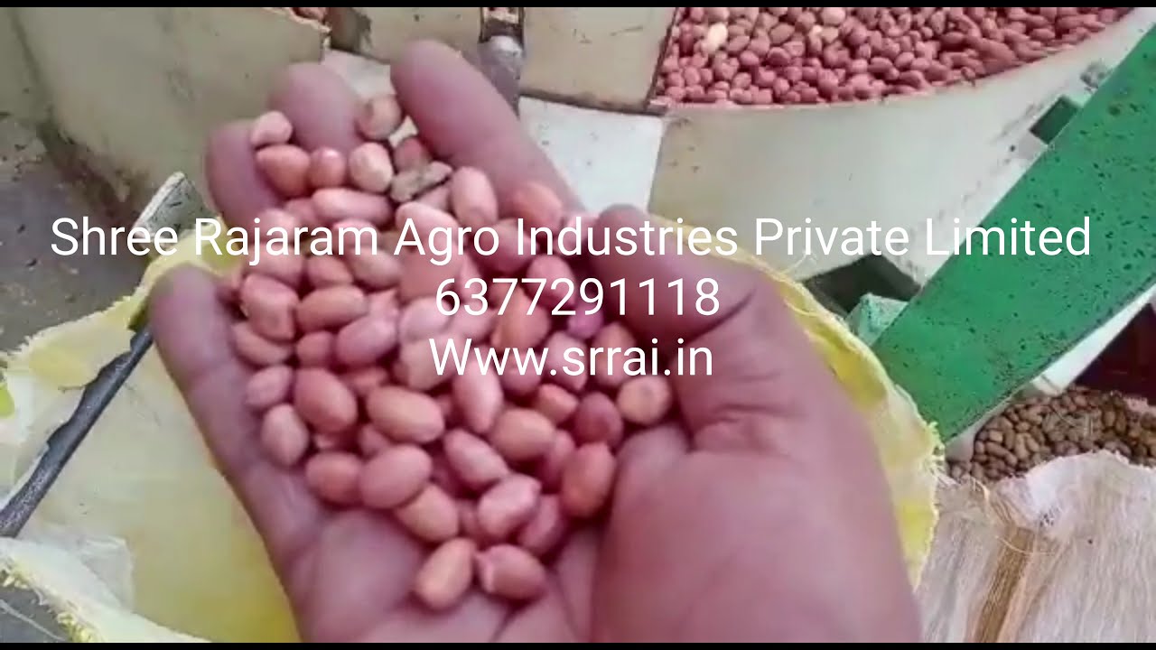 Groundnut 