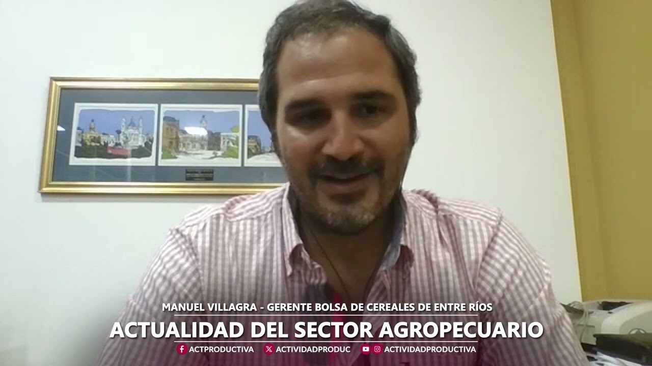 Manuel Villagra - Actualidad del Sector Agropecuario (parte 2)