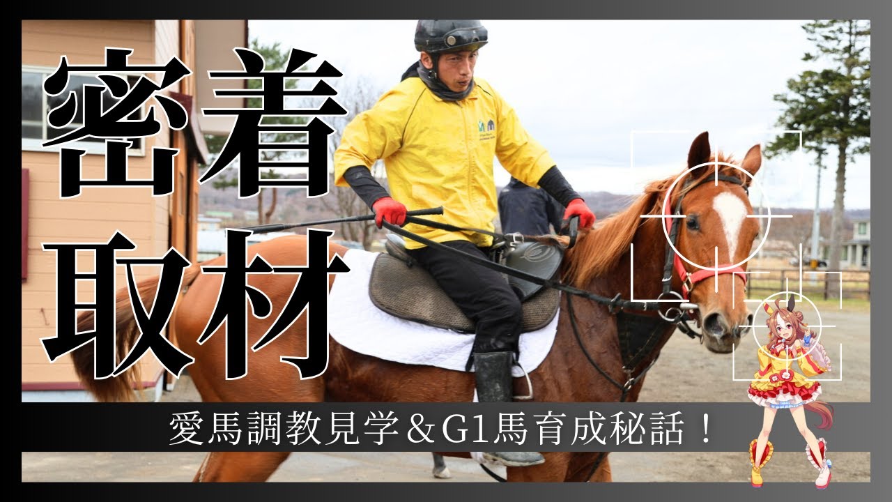 【愛馬調教見学＆G1馬育成秘話】小国スティーブル見学記【競馬】