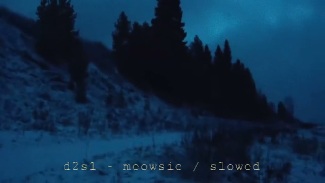 d2s1 - meowsic || 𝑠𝑙𝑜𝑤𝑒𝑑 ཐིཋྀ ˖ ࣪⊹