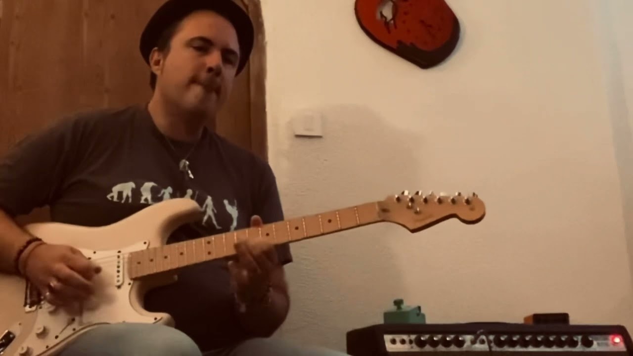 Fender Vibrosonic Reverb &lsquo;79 (modded) + JBL E130. SRV Tone.