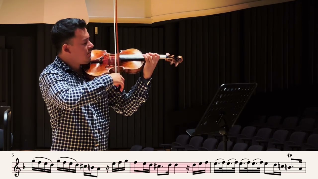 Vivaldi Violin Concerto in A minor RV 356 - 2nd Movement