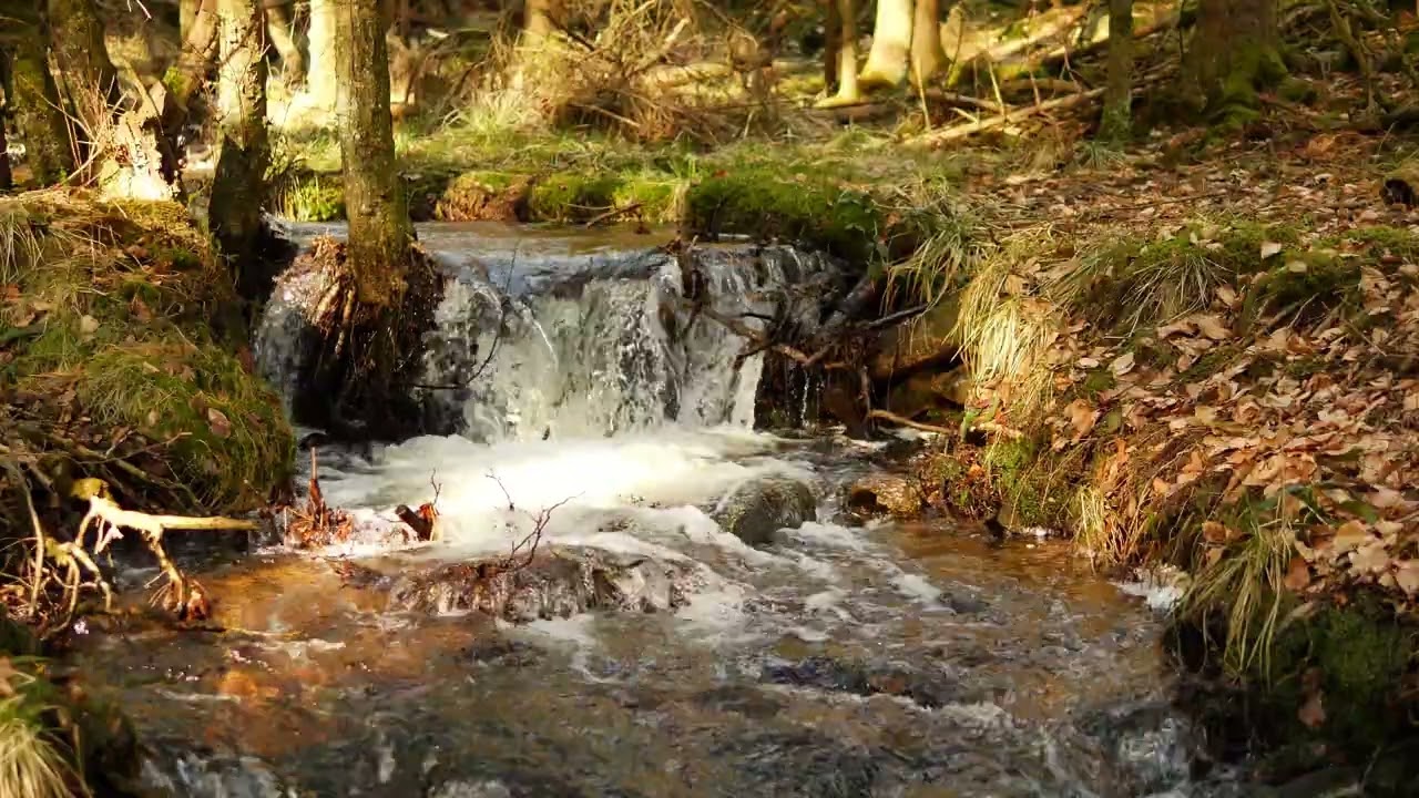 Bachgeflüster / Creek Sounds – 