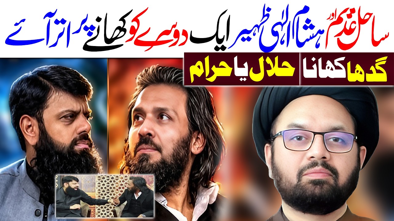Sahil Adeem vs Hisham Ilahi Zaheer | Maulana Syed Shahryar Raza Abidi