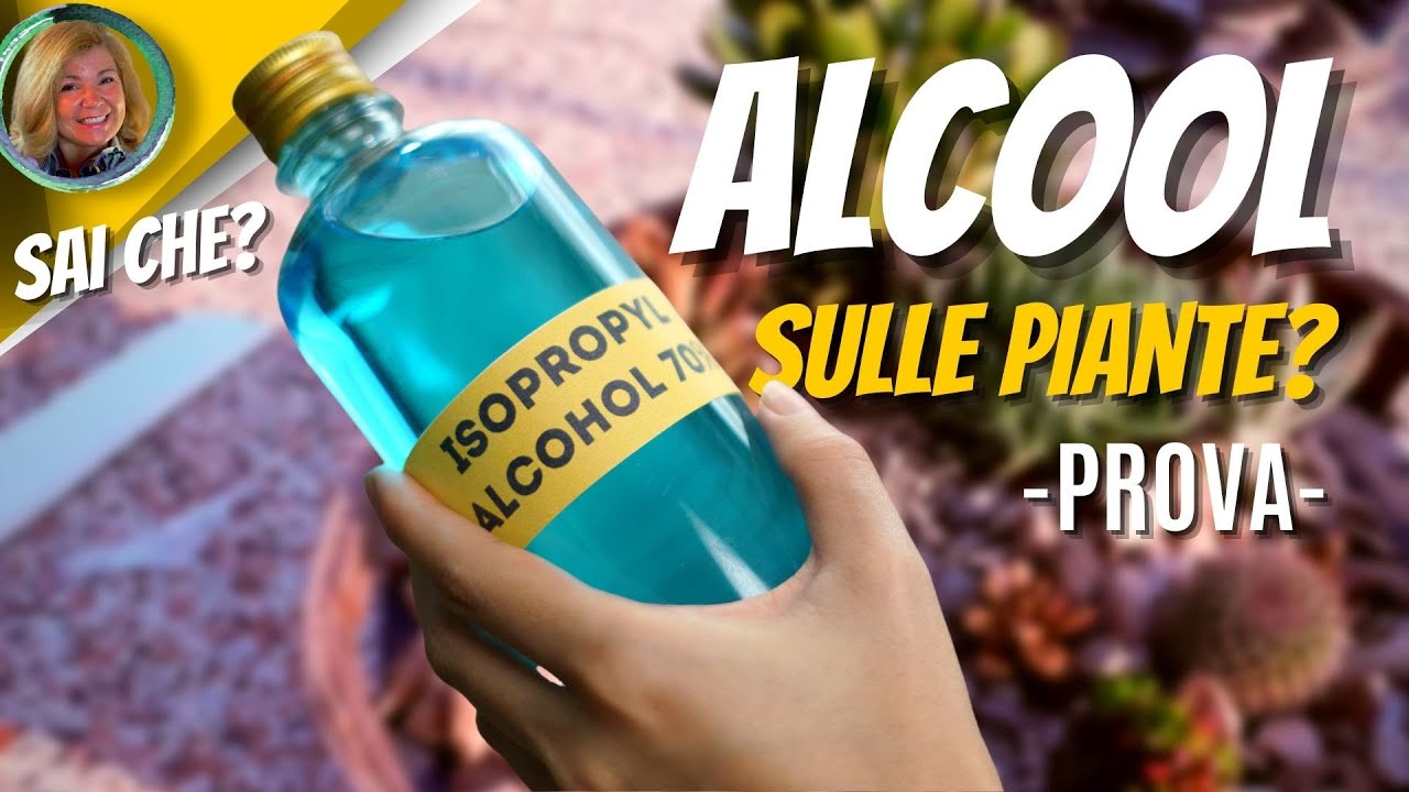 TEST | ALCOOL sulle PIANTE?