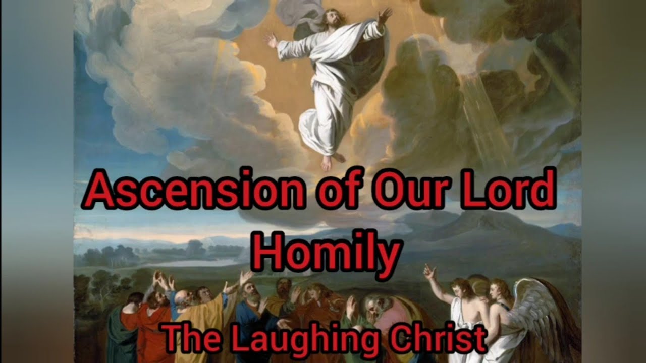 Ascension of the Lord Homily 2022