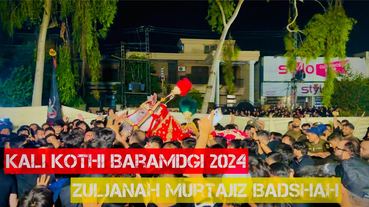 8 Muharram : Zuljanah Murtajiz Badshah Kali Kothi Iqbal town Lahore 2024|1445 #zuljanah