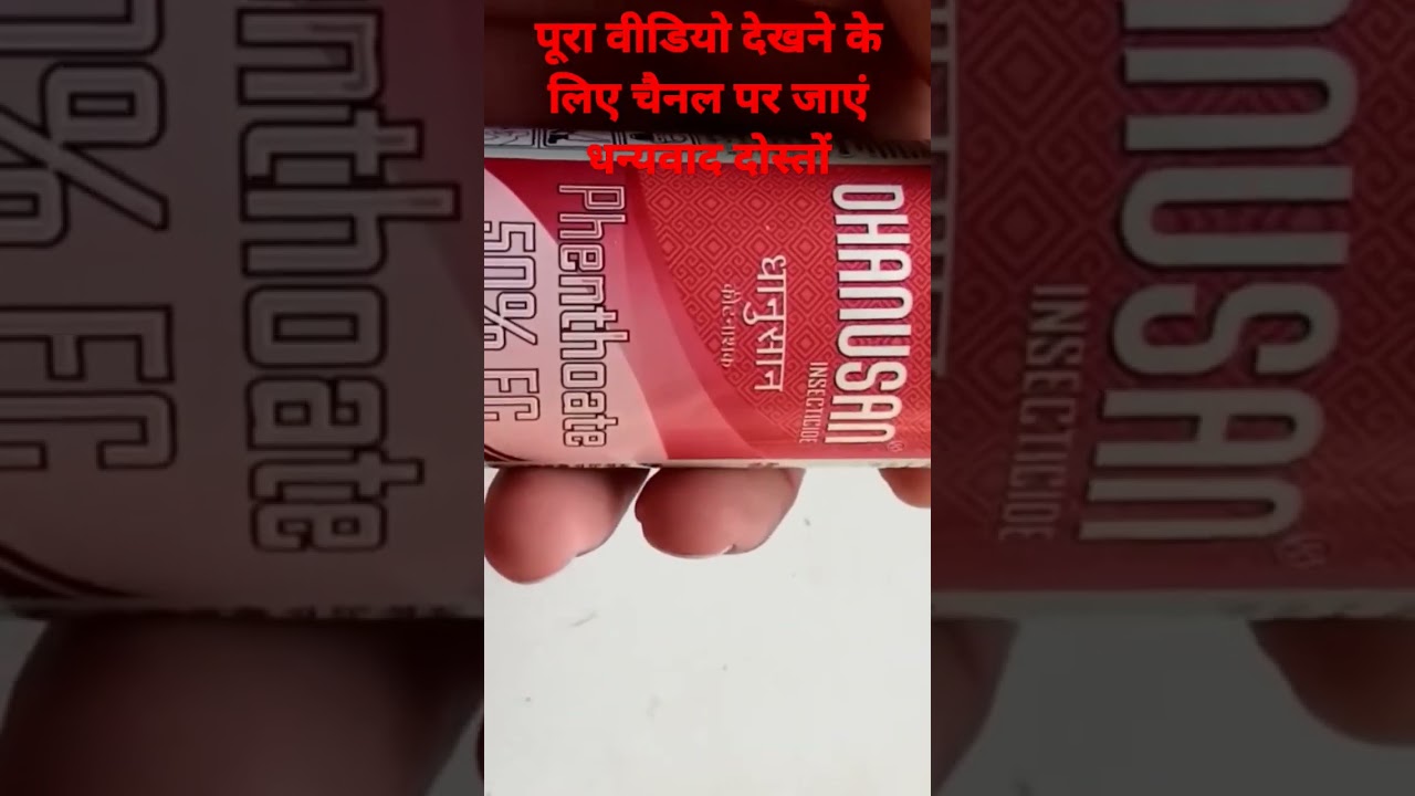 Phenthoate 50% EC #kisan #krishi #gehu #shorts #shortvideo #sulphur