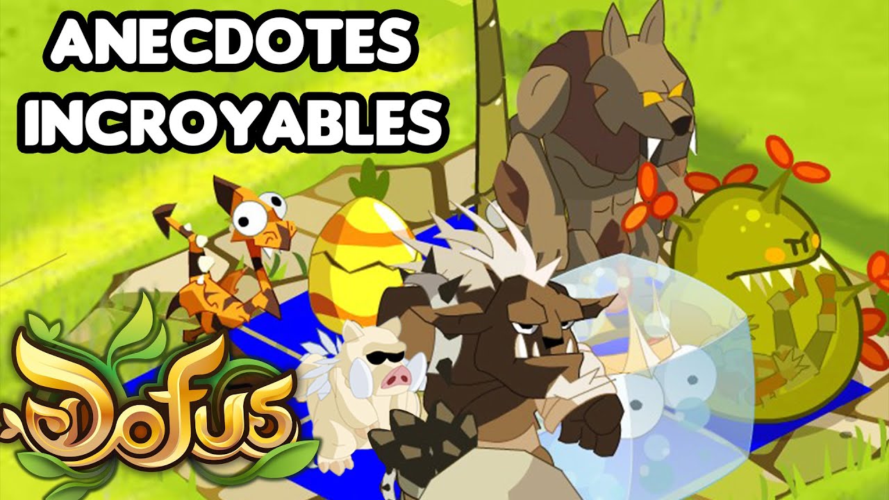 Des anecdotes incroyables et inconnues sur DOFUS !