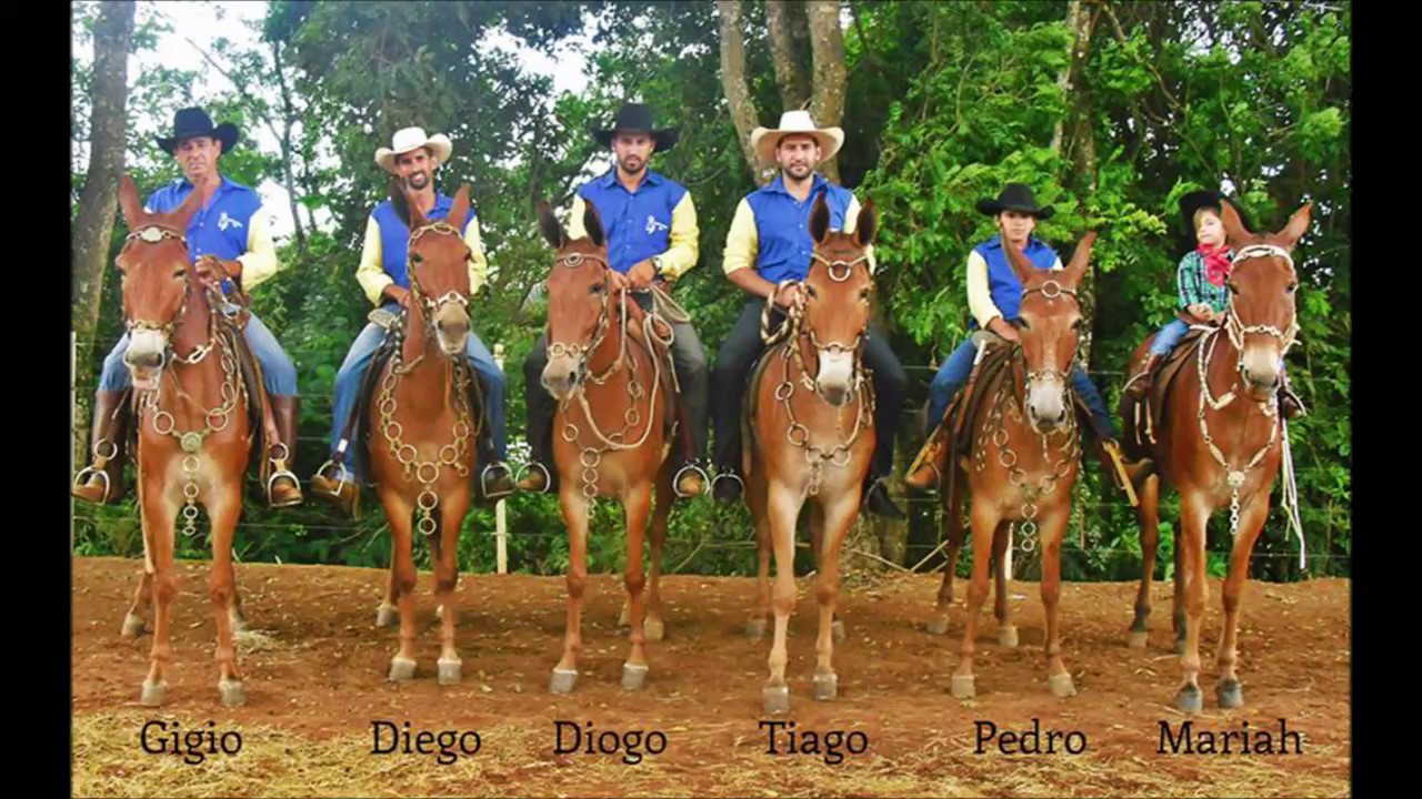 Musica rei dos muladeiros