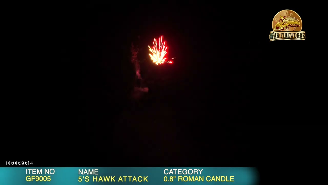 RC   GF9005   5S HAWK ATTACK