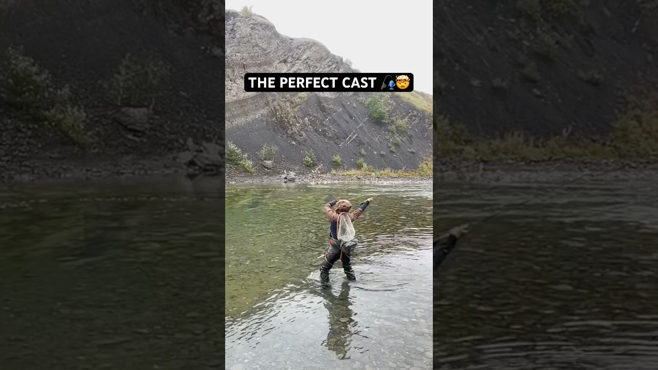 Tom Brady out here 🎣 