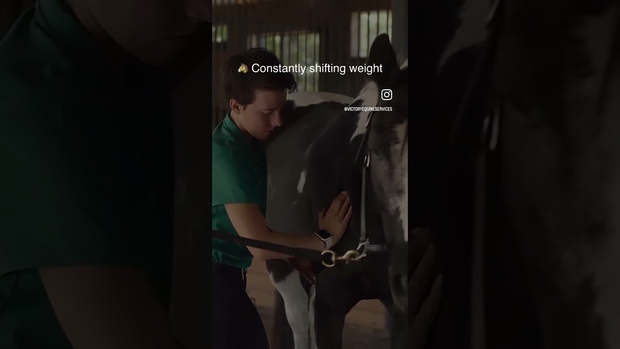 Subtle signs of pain in horses
