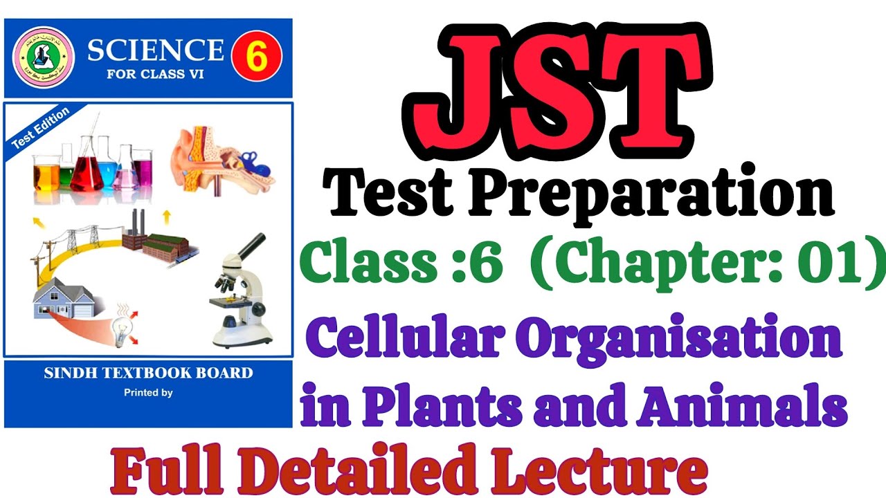 JST (Junior Science Teacher) Class: 6 Science Chapter: 01 CELLULAR ORGANISATION IN PLANTS & ANIMALS