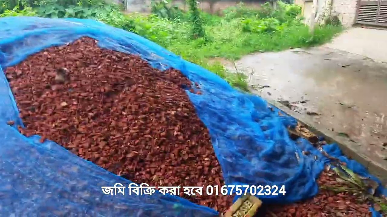 টাঙ্গাইল শহরের গুরুত্বপূর্ণ ও জনবহুল এলাকাসাবালিয়া স্টেশন রোডের সাথে সংযুক্ত জমি বিক্রয় করা হবে।