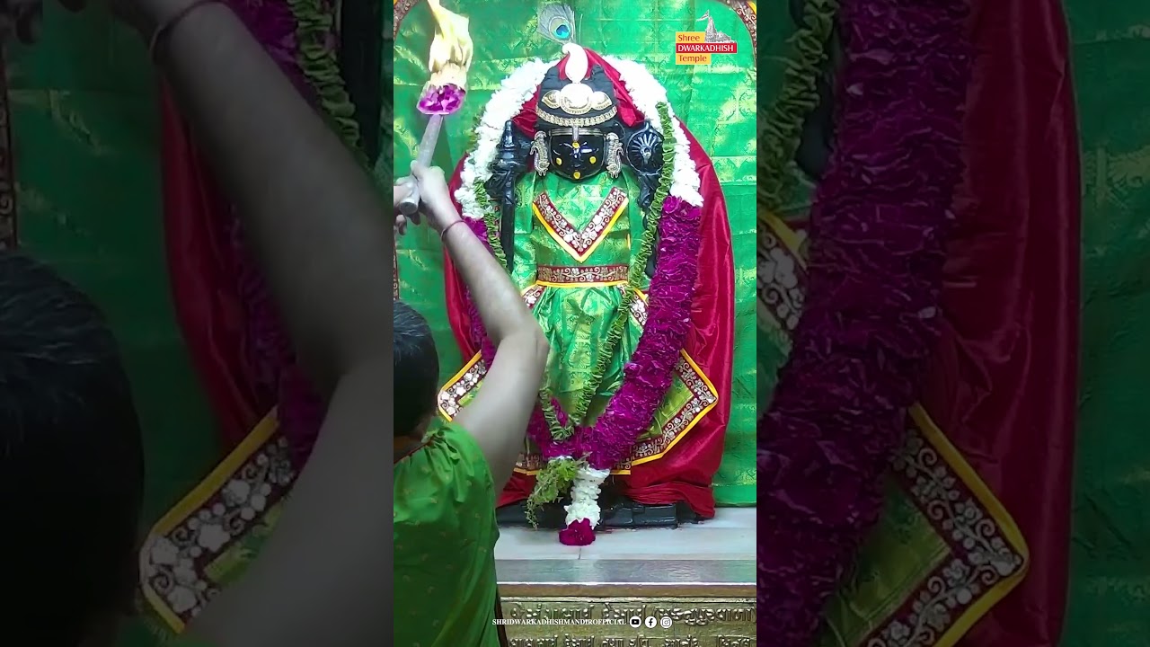 राजाधिराज द्वारकाधीश जी के मङ्गला आरती दर्शन 🙏🏻  #manglaaarti #ShridwarikadhishmandirOfficial