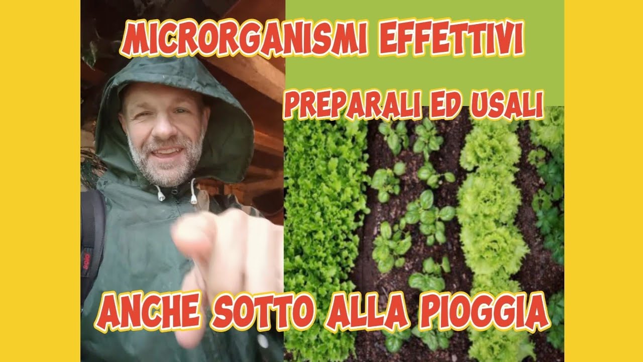 Microrganismi Effettivi: migliorarne l'efficacia ed usare la pioggia