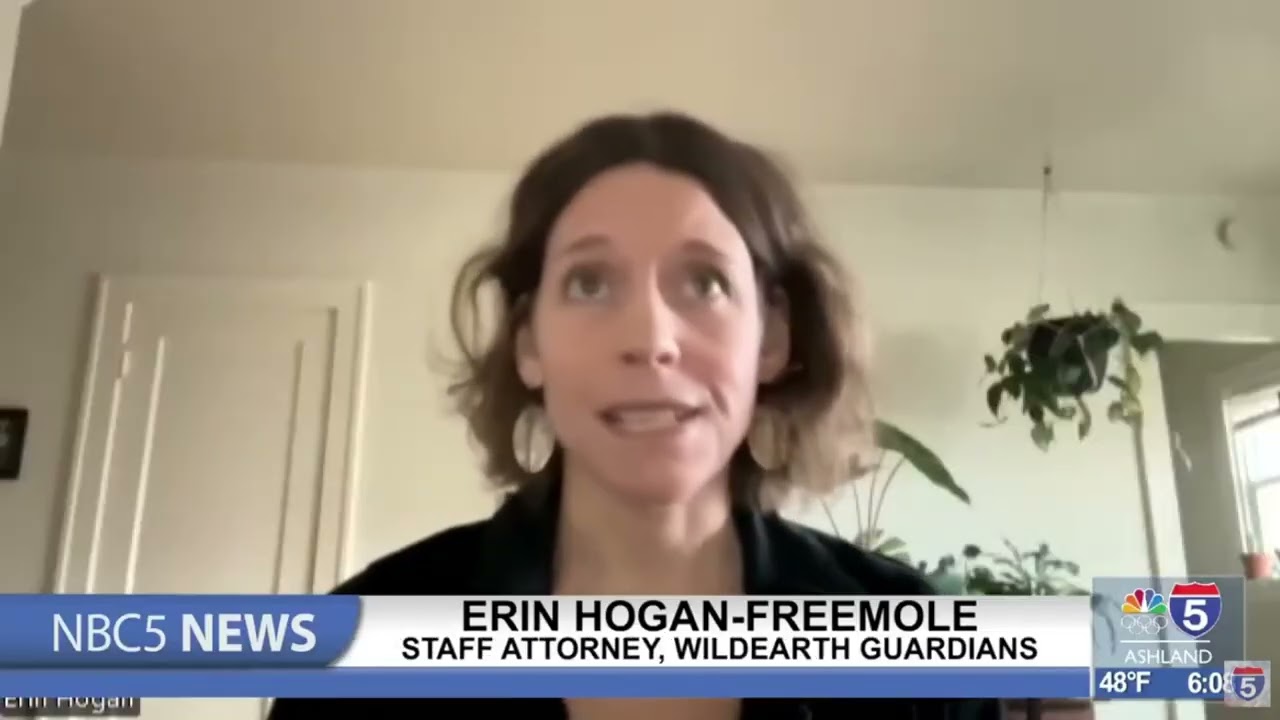 Federal court voids Forest Service loophole for large scale logging