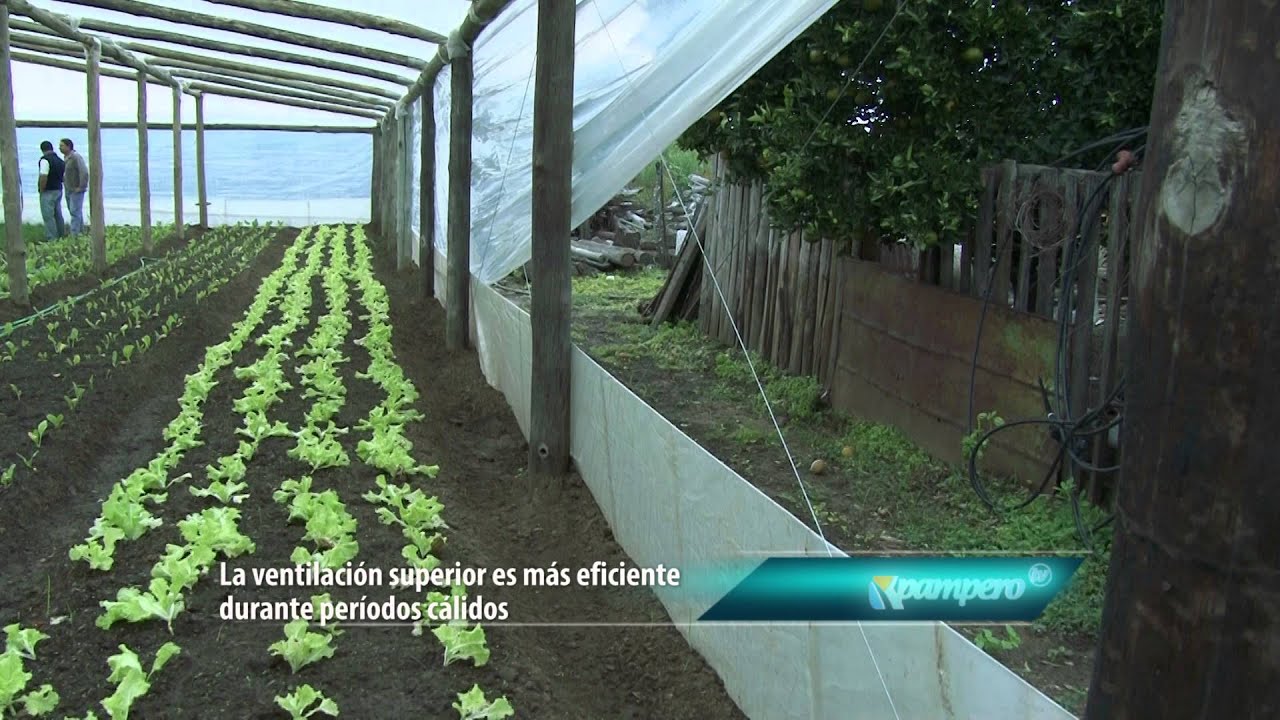Construcci&oacute;n de invernadero