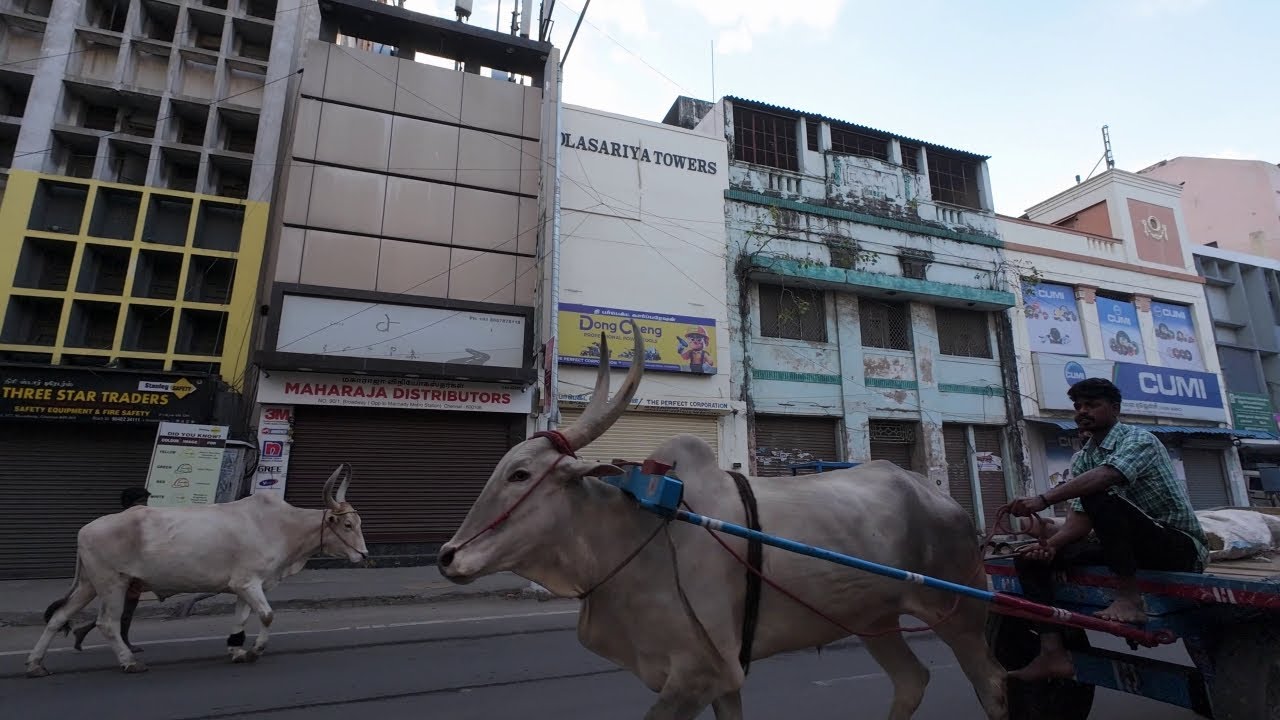 Early Morning Walk Through Chennai | Mannadi, India 🇮🇳 4K – Part 1