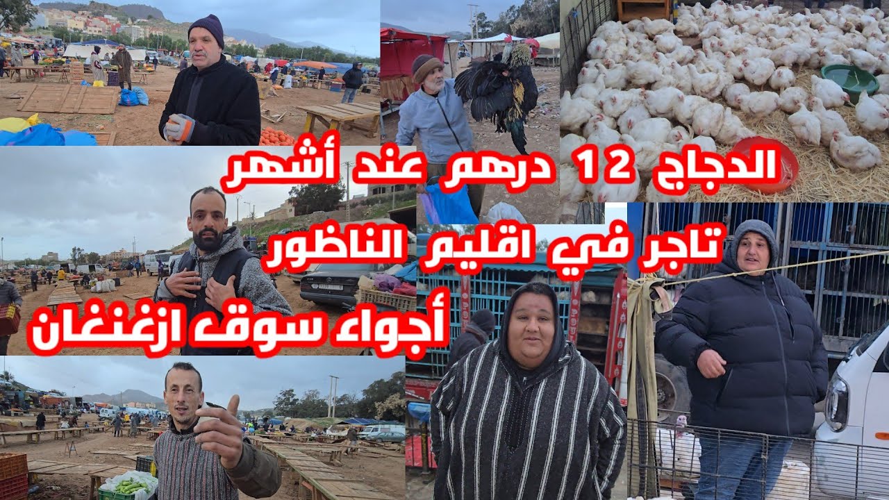 من سوق ازغنغان تخفيضات متواصلة في ثمن الدجاج عند يونس وموحي شوفو أجواء السوق والأثمنة 