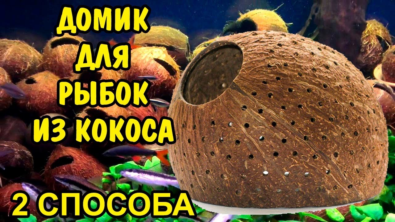 ДОМИК ДЛЯ РЫБОК СВОИМИ РУКАМИ ИЗ КОКОСА. 2 СПОСОБА. HOUSE FOR FISH DIY