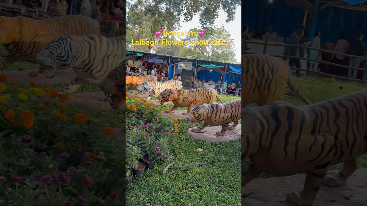 Lalbagh Flowers Show 2025  #lalbag #park #flowershow #minivlog #youtubeshorts #bengaluru #karnataka