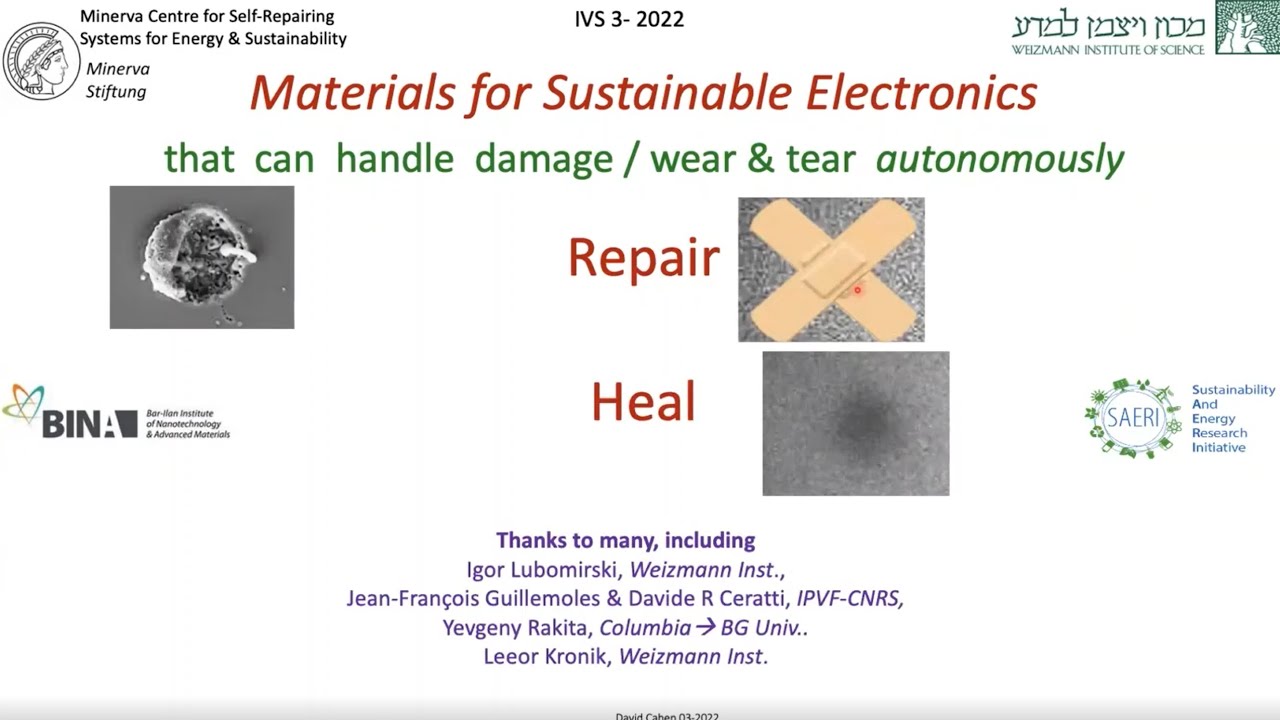 Prof. ​David Cahen, IVS-Webinar | 