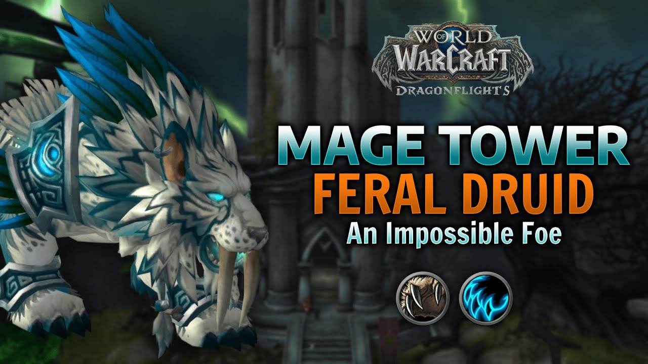 Mage Tower Feral Druid - Dragonflight Gear / No consumables / No Legacy Trinkets