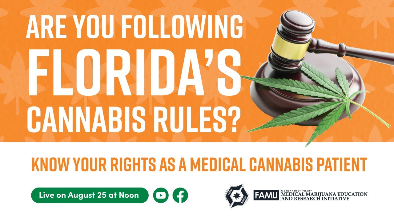 Are You Following Florida&rsquo;s Cannabis Rules? Know Your Rights as a Medical Cannabis Patient