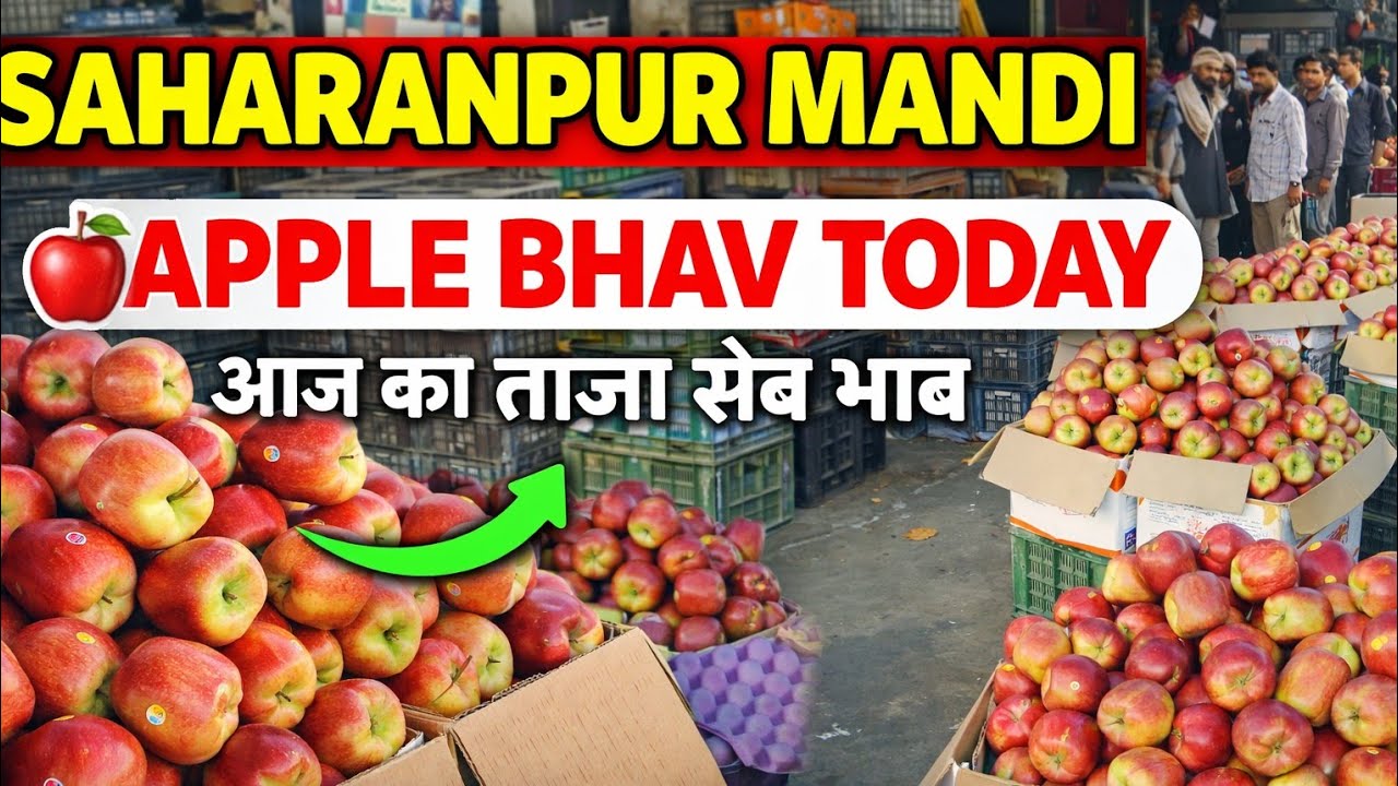 Kashmir Apple Price Today: Shocking Trends from Saharanpur Mandi!