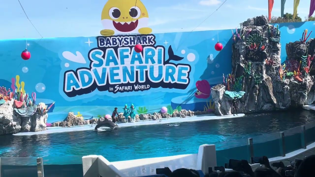 Safari Adventure dolphin so 