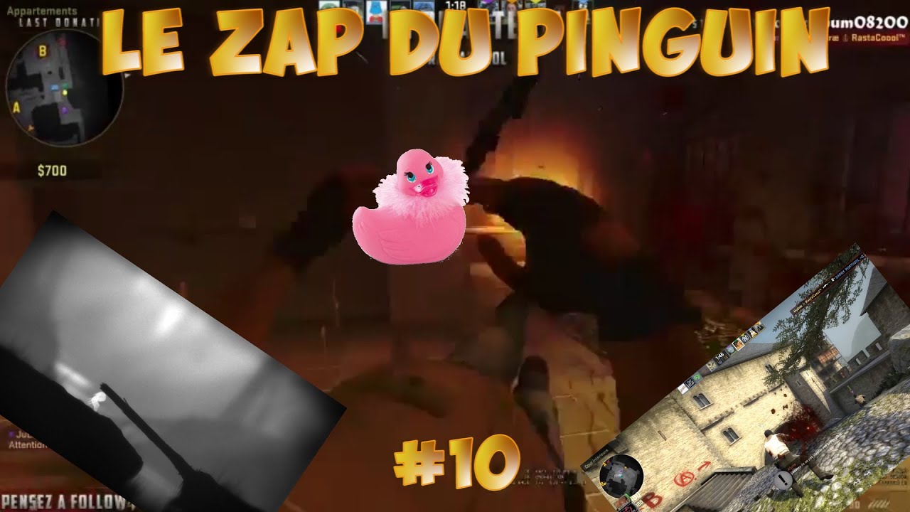 Le ZAP du Pinguin |#10| LE CANARD VIBRANT...