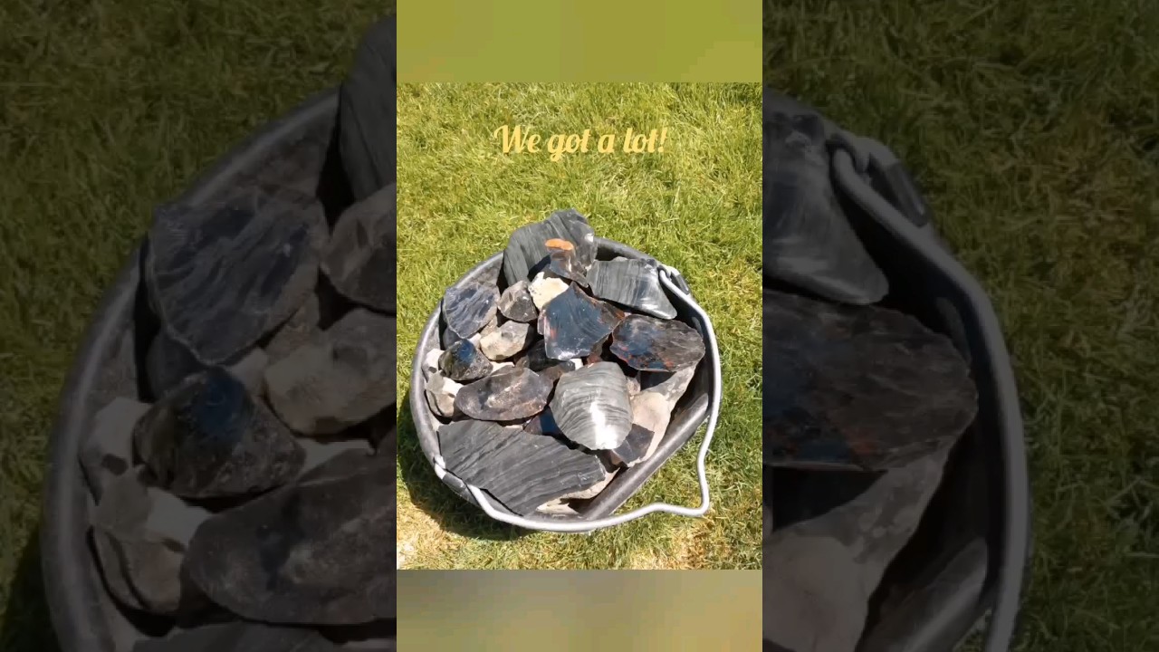 Rockhounding OBSIDIAN at GLASS BUTTES!! #rockhounding #rockhound #obsidian #oregon #rocks #gems