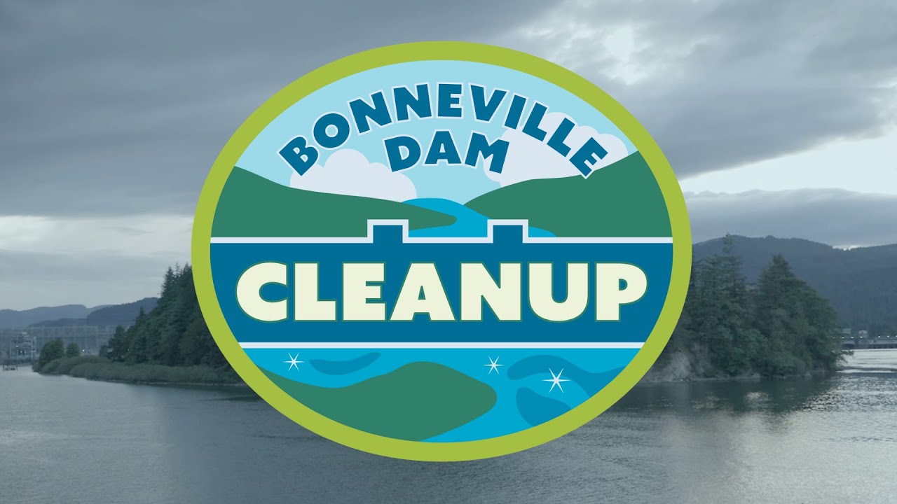Why is Bonneville Dam Cleanup Important?