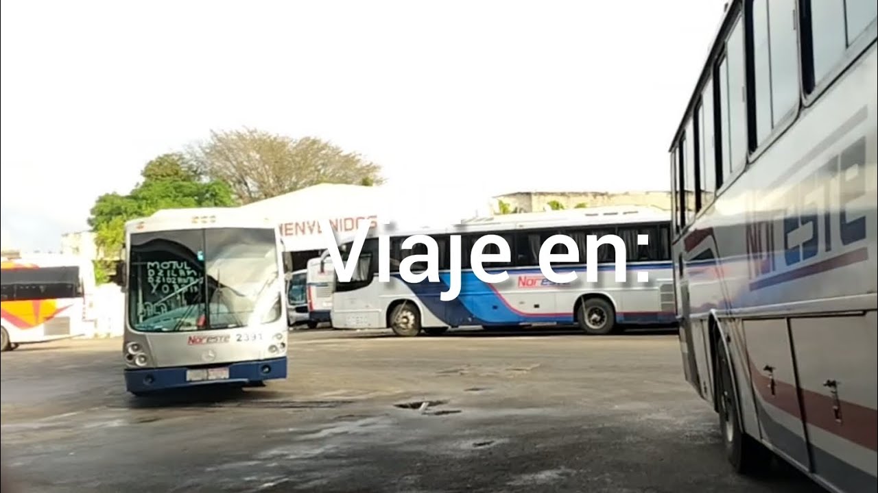 Viaje en: Noreste, Mérida-Conkal-Motul |Operbus Pacífico
