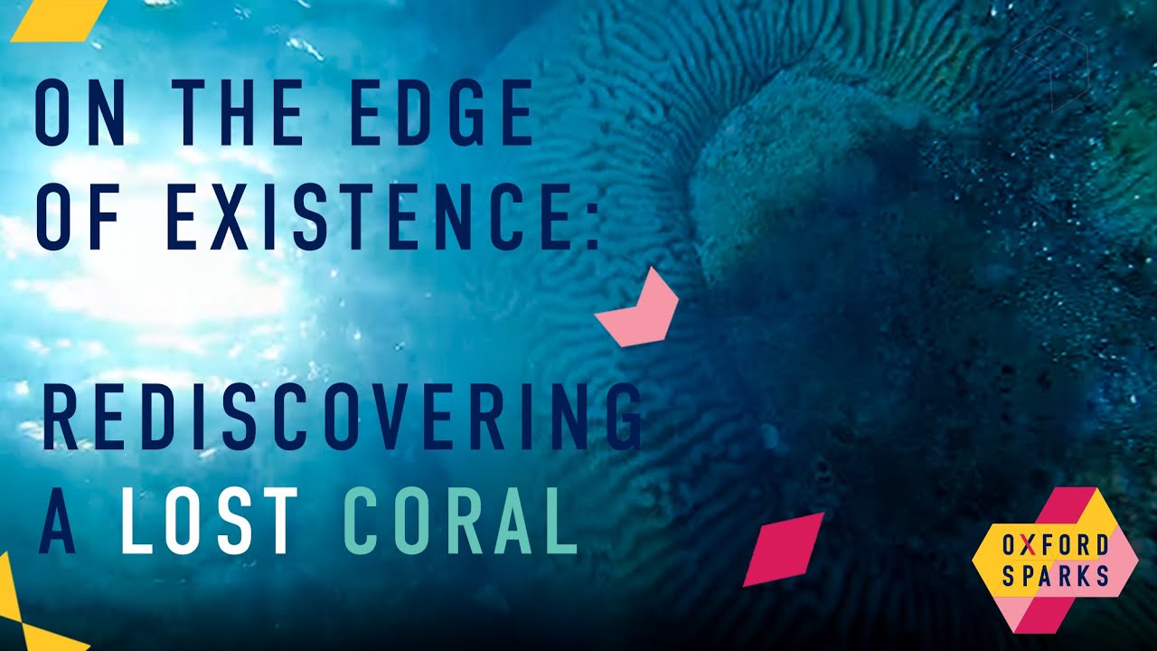 On the Edge of Existence: Rediscovering a Lost Coral