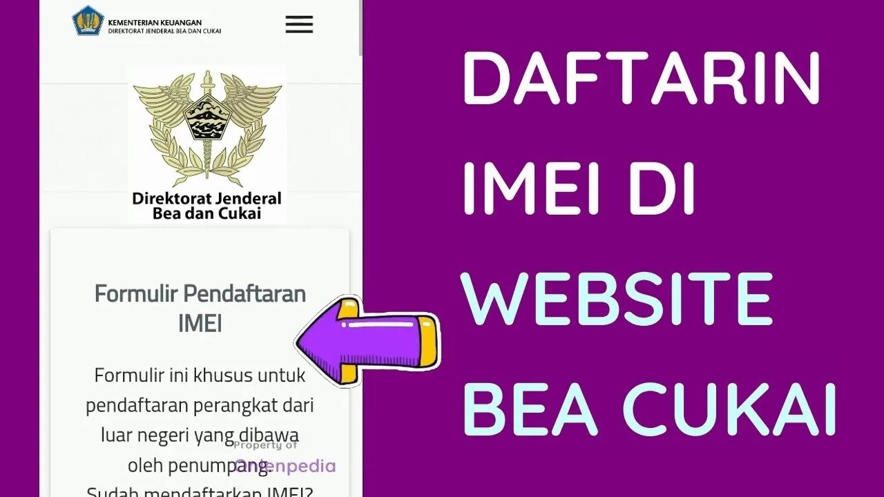 Cara Daftarkan IMEI HP ke Bea Cukai Secara Online via Website !!