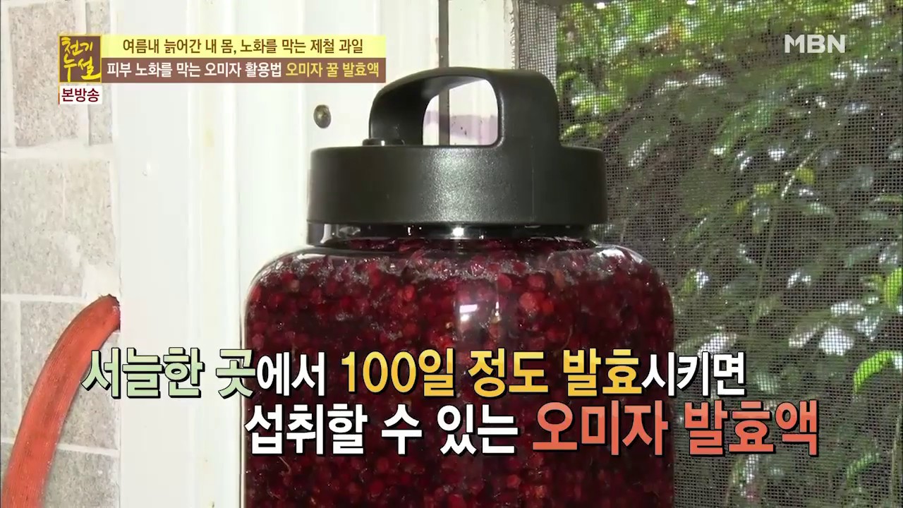 오미자 더 건강하게 먹는 법, 건오미자를 꿀에 발효하라!