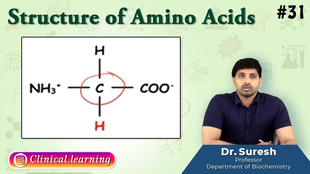 31. Structure of Amino Acids